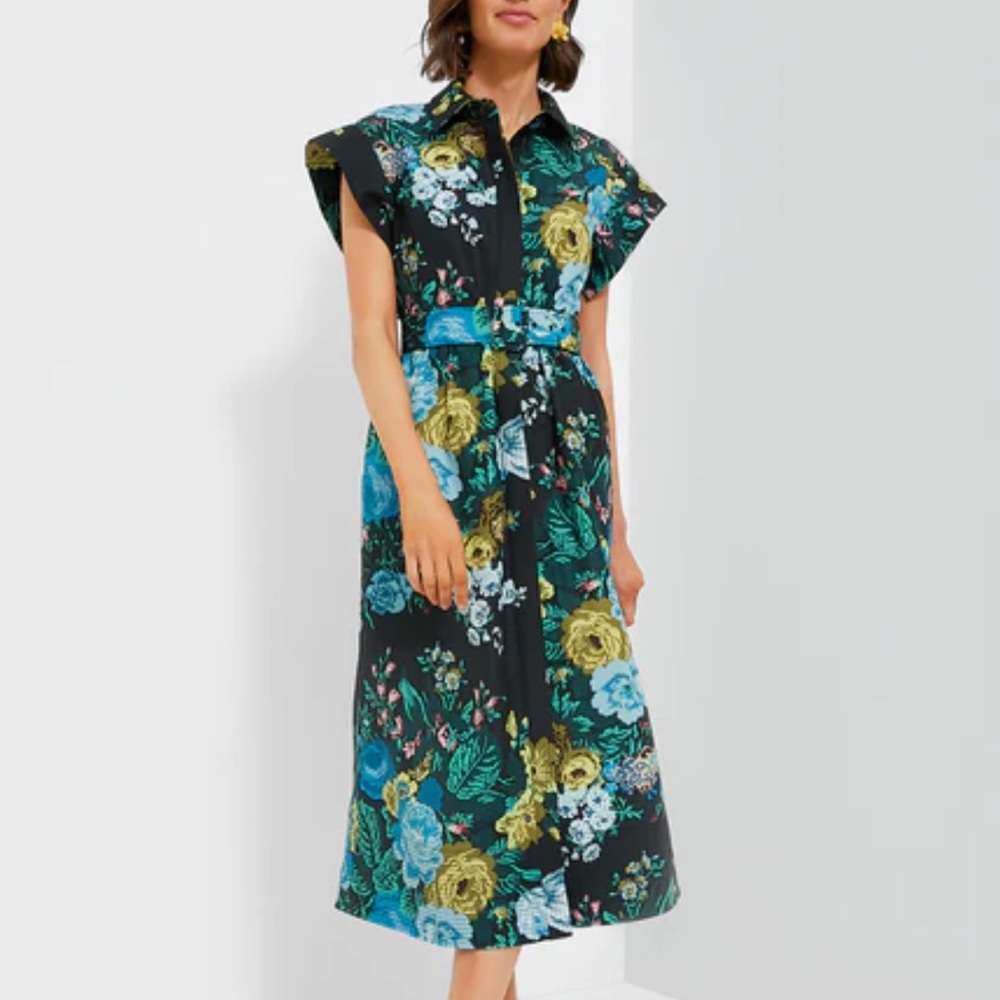 Tuckernuck black verdant Chloe dress